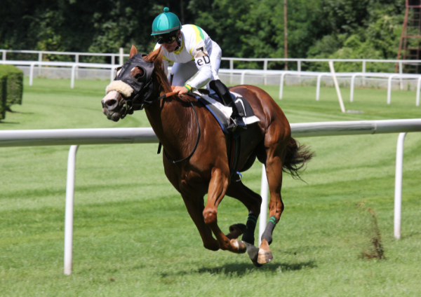 Corrida de cavalos
