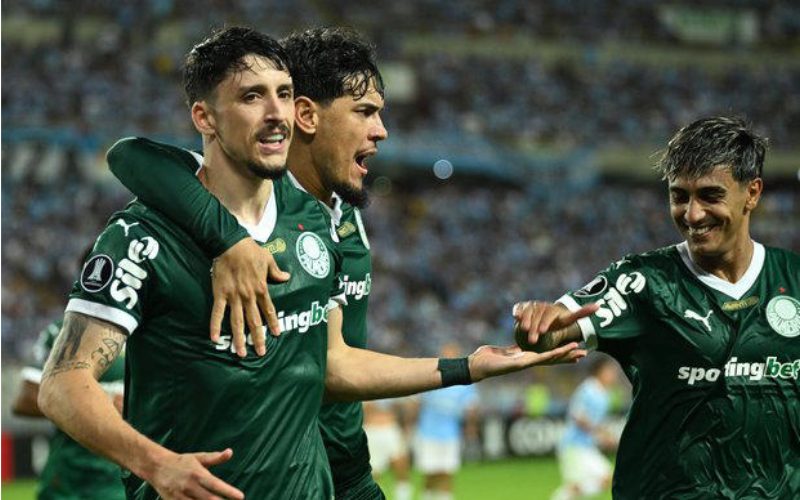 palmeiras