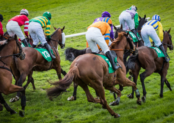 corridas-de-cavalos