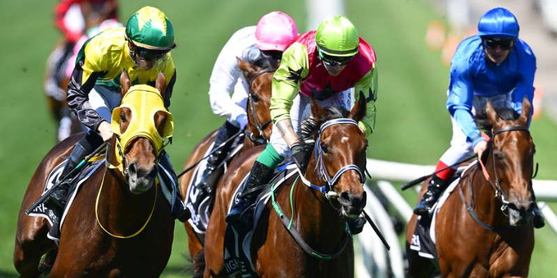 corridas-de-cavalos
