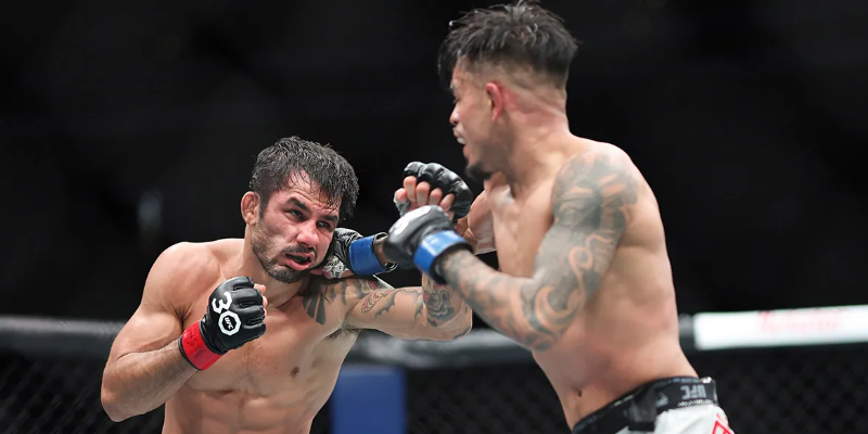 como-apostar-nas-lutas-do-ufc