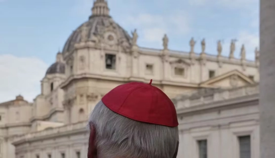 papa